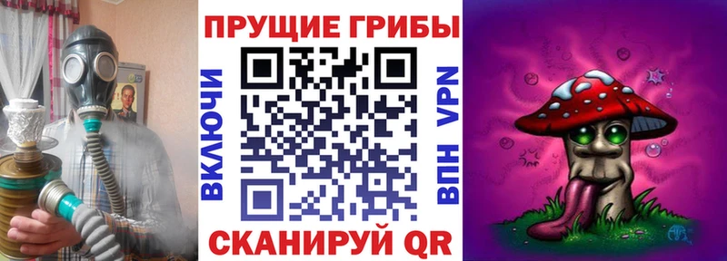 площадка клад  omg tor  Верхняя Пышма  Галлюциногенные грибы MAGIC MUSHROOMS 