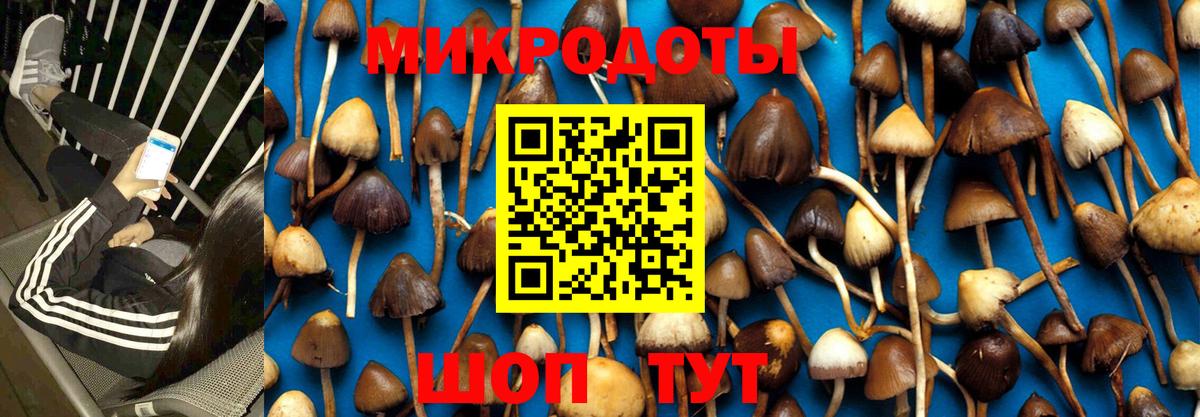 Галлюциногенные грибы ЛСД Верхняя Пышма
