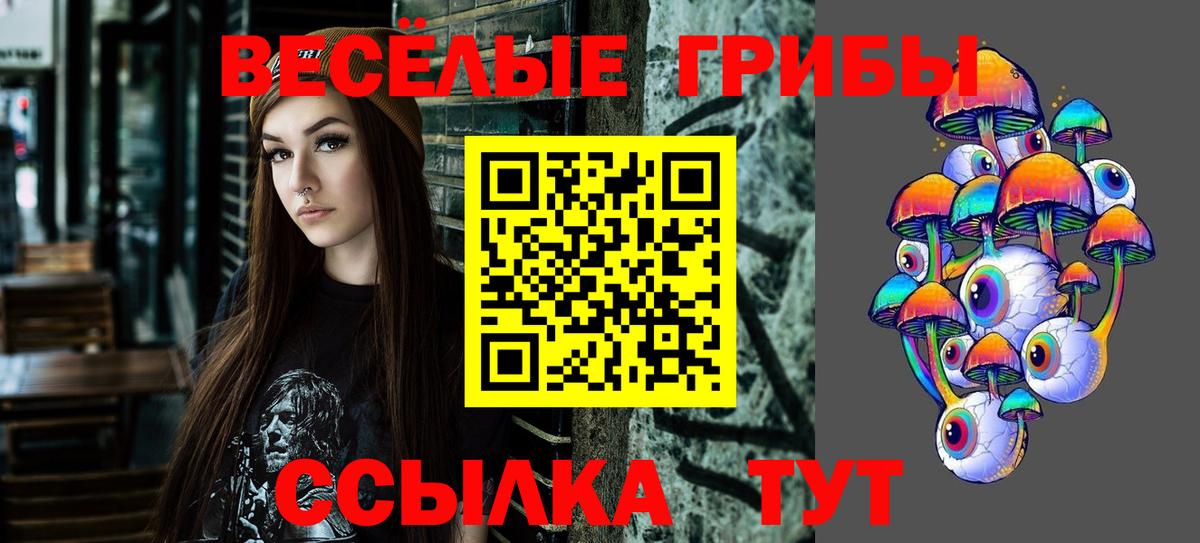 Галлюциногенные грибы Psilocybine cubensis  Псилоцибиновые грибы мицелий  Верхняя Пышма 