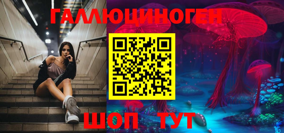 Псилоцибиновые грибы прущие грибы  Псилоцибиновые грибы мицелий  Верхняя Пышма  что такое наркотик  Вход с VPN 